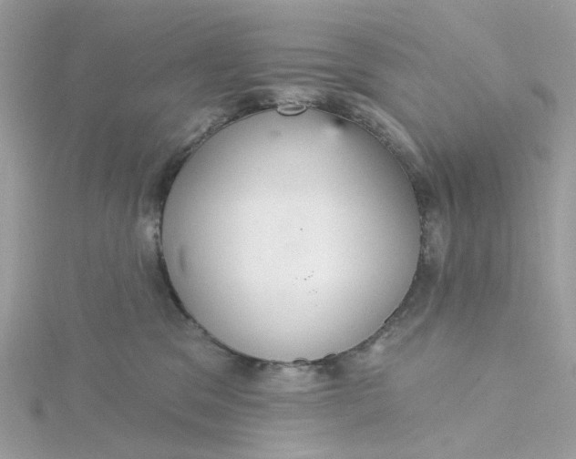 X0000115200329200911181513