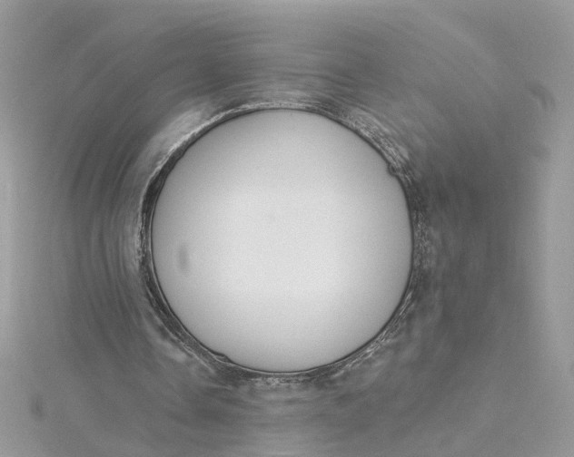 X0000115200338200911181512
