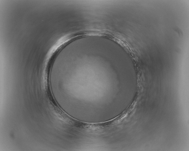 X0000115200343200911181513