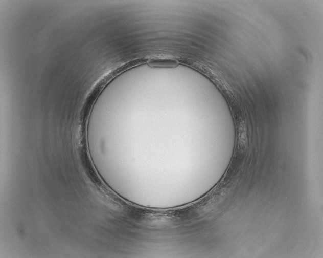 X0000115200351200911181513