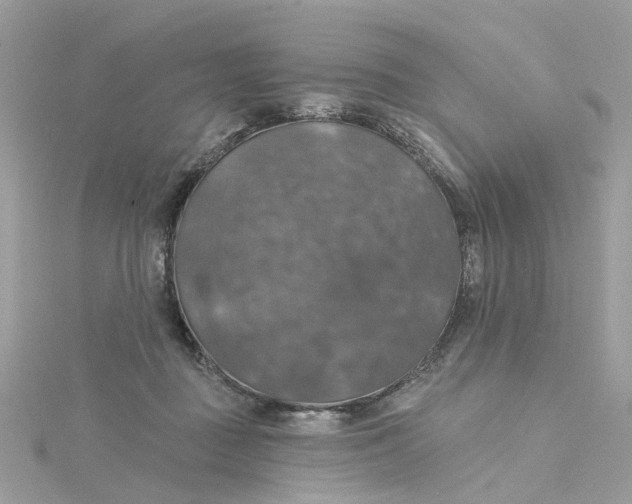 X0000115200363200911181513