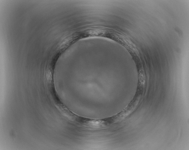 X0000115200375200911181513