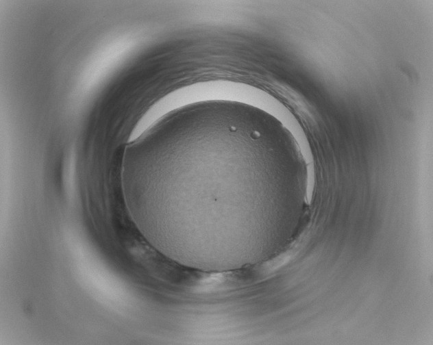 X0000115200382200911181513