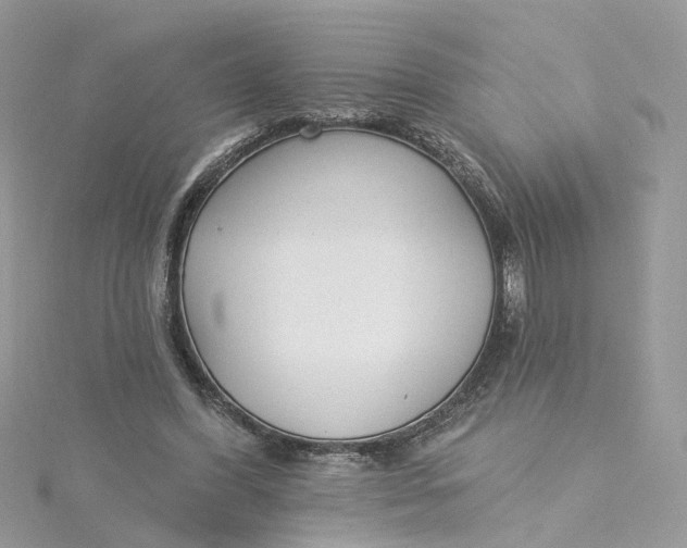 X0000115200396200911181512