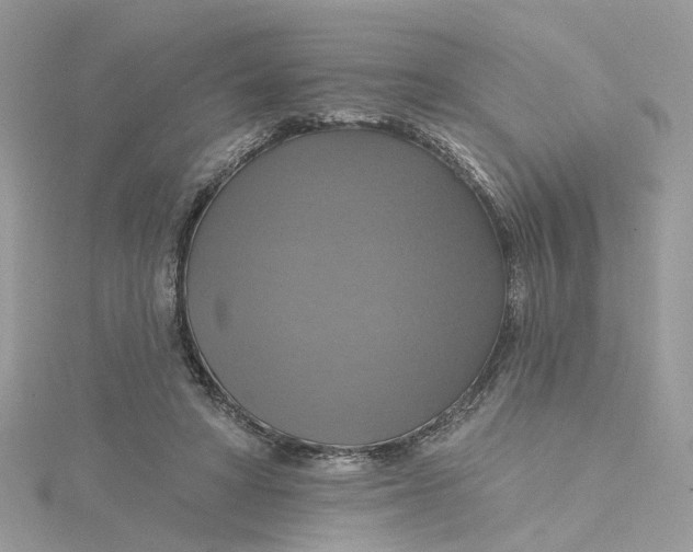 X0000115200402200911181512