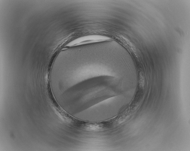 X0000115200405200911181512