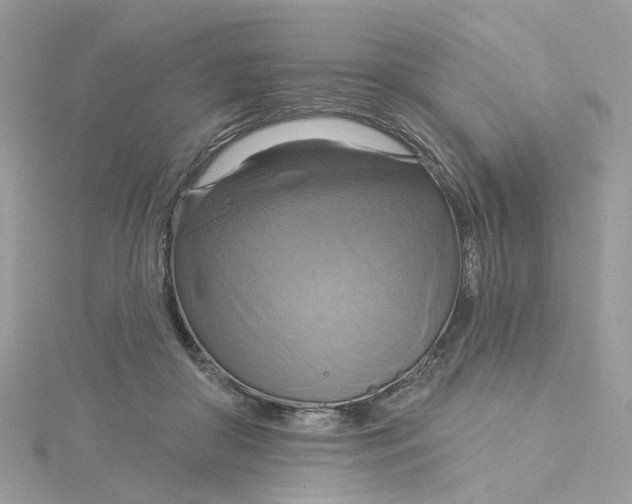 X0000115200410200911181512
