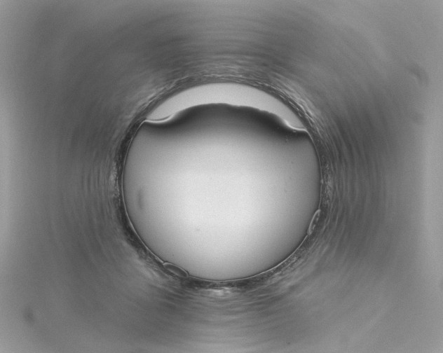 X0000115200411200911181512