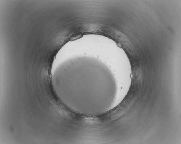 X0000115200415200911181512