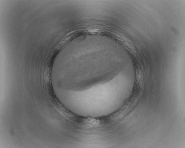 X0000115200421200911181512
