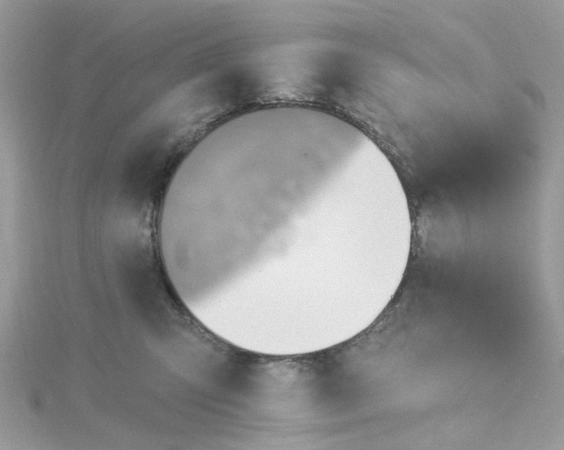 X0000115200423200911181512