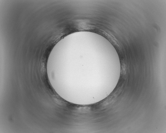 X0000115200426200911181512