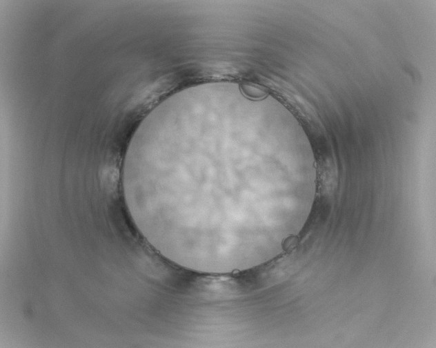 X0000115200427200911181512