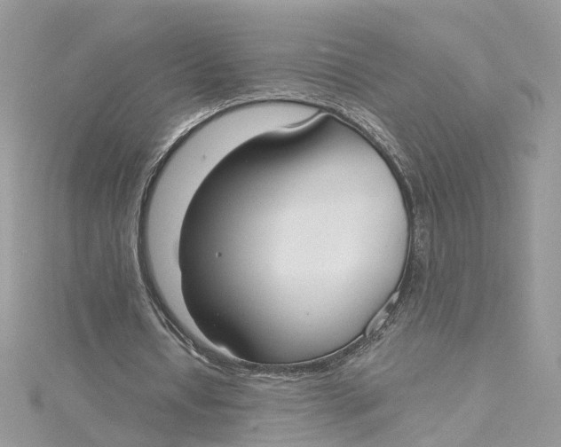 X0000115200434200911181511
