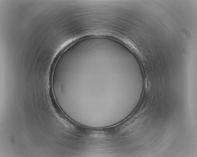 X0000115200438200911181511