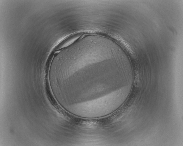 X0000115200440200911181511