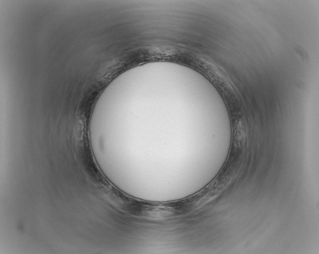 X0000115200463200911181512