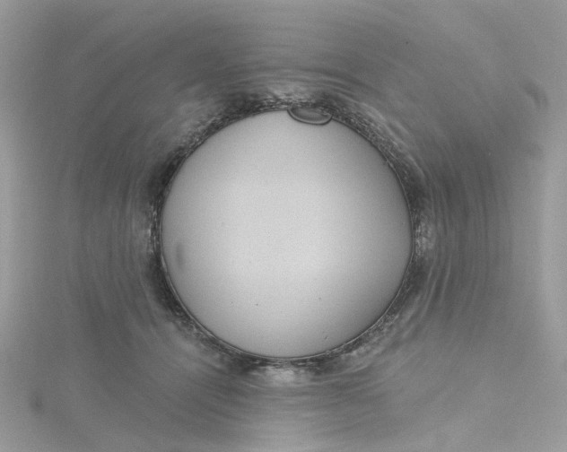X0000115200464200911181512