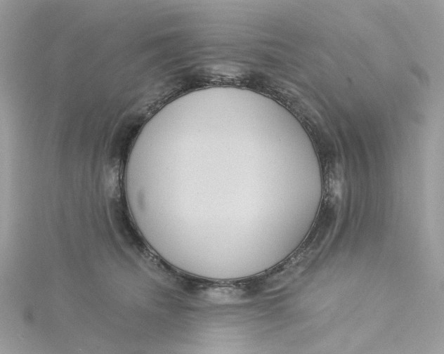 X0000115200468200911181512