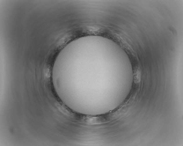 X0000115200472200911181512