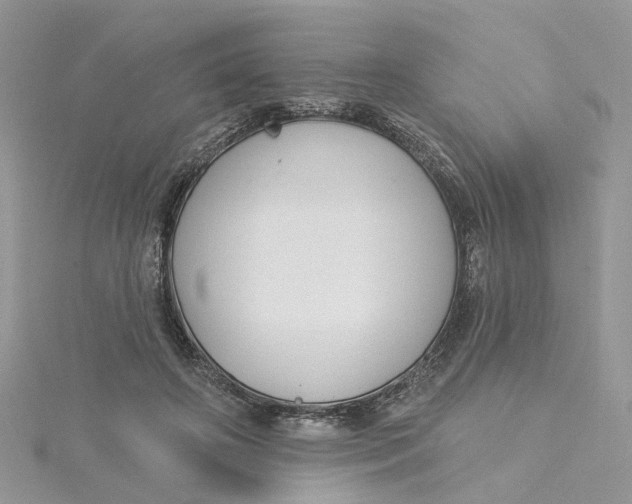 X0000115200498200911181511