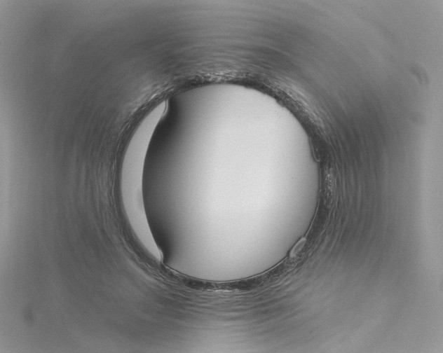 X0000115200499200911181511