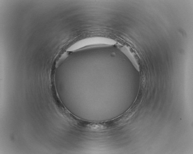 X0000115200512200911181511