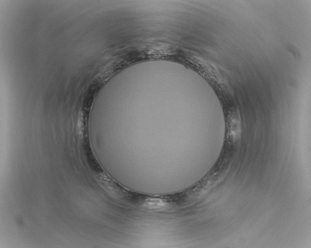 X0000115200519200911181511