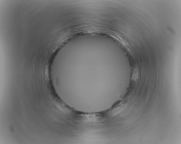 X0000115200524200911181511