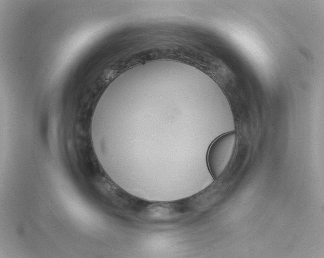 X0000115200526200911181511