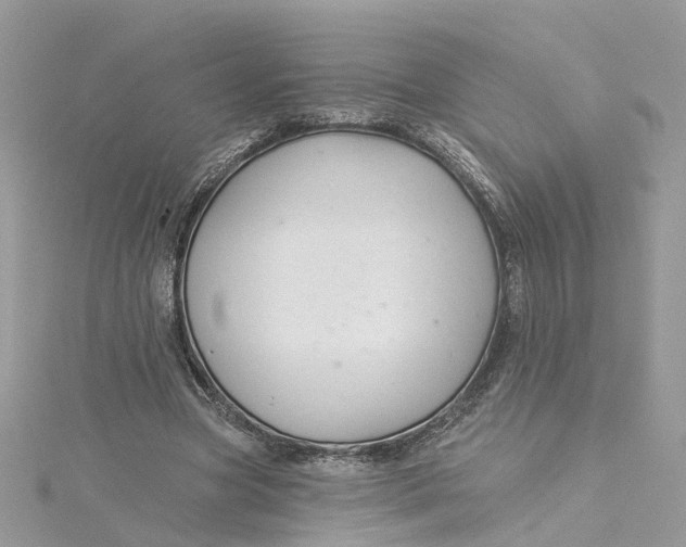 X0000115200537200911181510