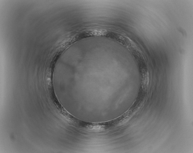 X0000115200553200911181510
