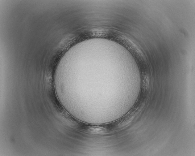 X0000115200557200911181510