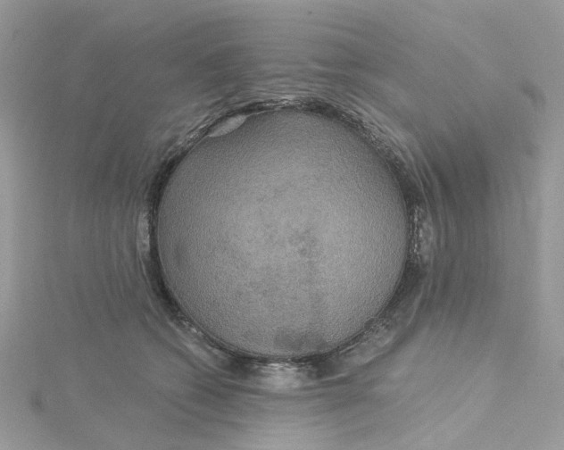 X0000115200562200911181510