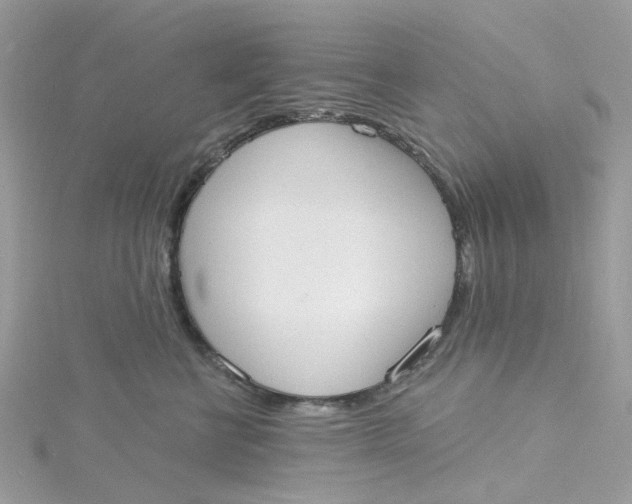 X0000115200570200911181511