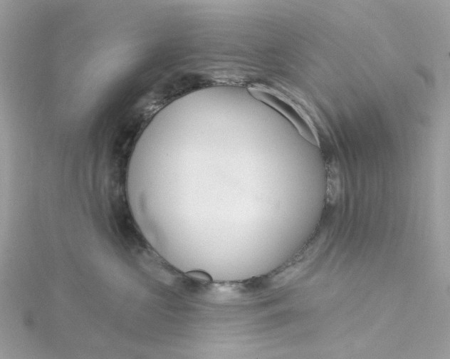 X0000115200573200911181511