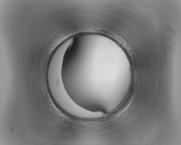 X0000115200577200911181510
