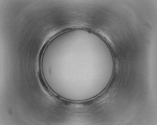 X0000115200582200911181510