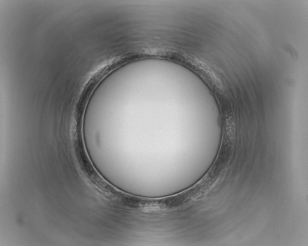 X0000115200587200911181510