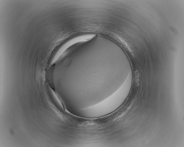 X0000115200589200911181510