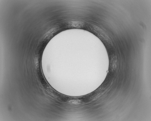 X0000115200595200911181510