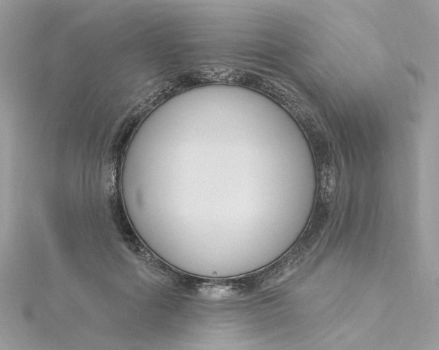 X0000115200602200911181510