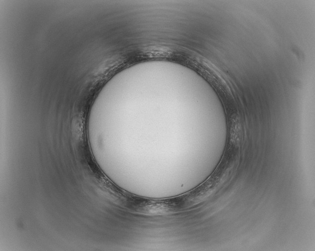 X0000115200604200911181510
