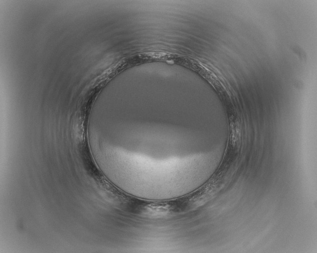 X0000115200606200911181510