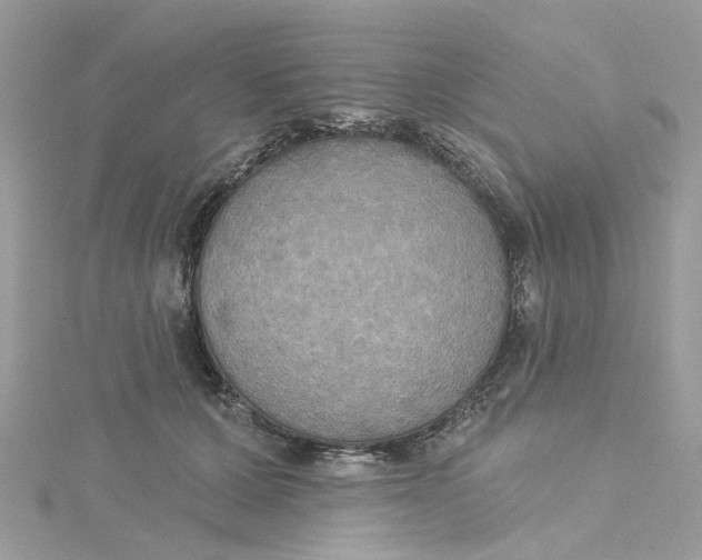 X0000115200607200911181510