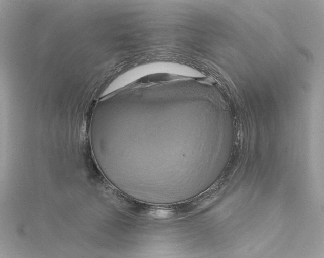 X0000115200610200911181510