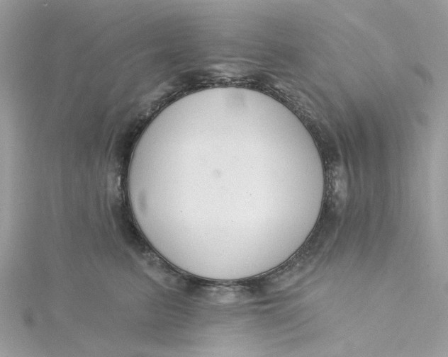 X0000115200615200911181509