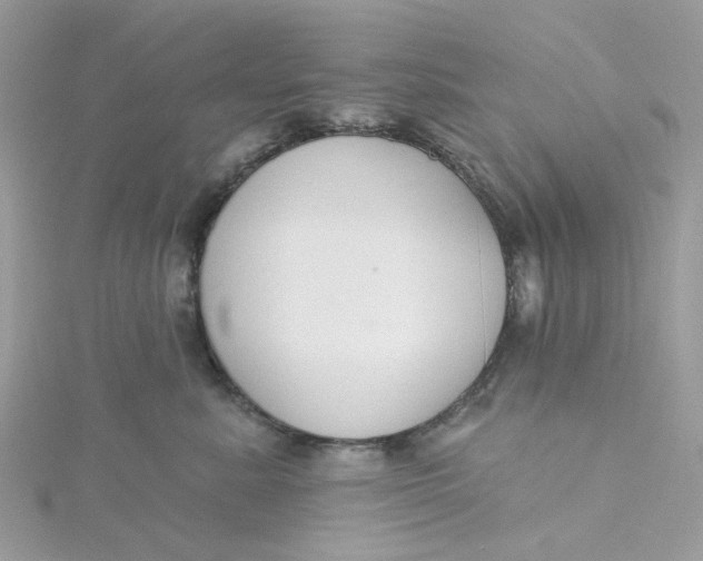 X0000115200619200911181509