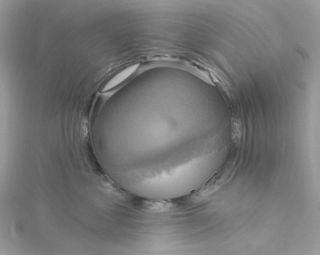 X0000115200621200911181509