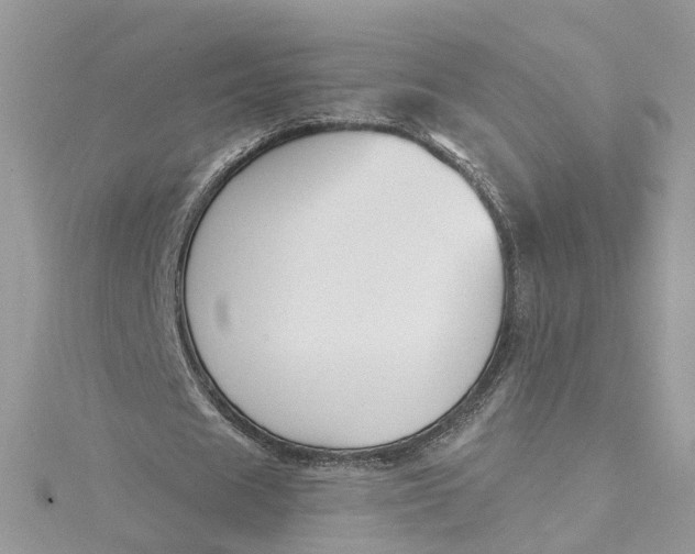 X0000115200625200911181509